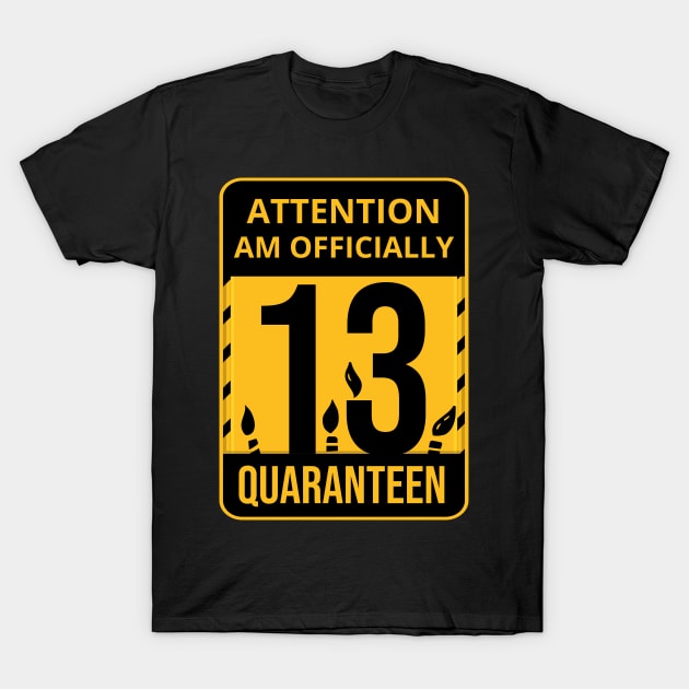 13th Birthday Officially a Quaranteen 13 Years Old T-Shirt by heidiki.png